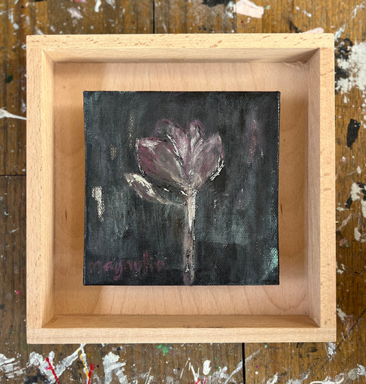 Magnolia II