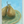 Pear on a Green Plate