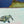 Turtles and Swimmers