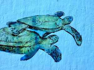 Turtles and Swimmers