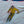 Fishnets & Skiers